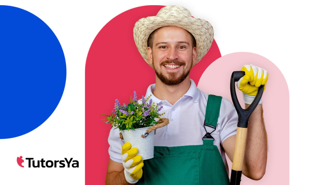 Curso de jardinería online: aprende sobre servicios de jardinería