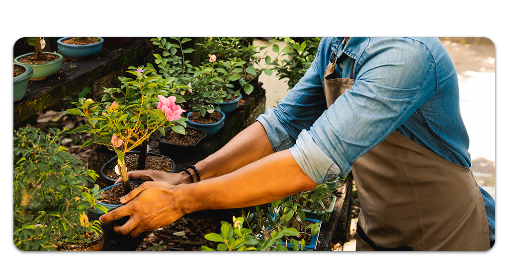 Curso de jardinería online