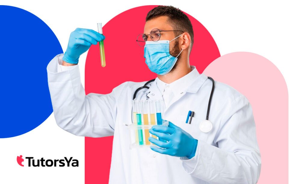 Curso SEPE: gestión de servicios para el control de organismos nocivos