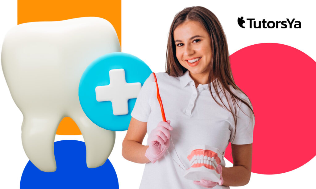 Titulación SEPE: Curso de gestión en gabinete bucodental