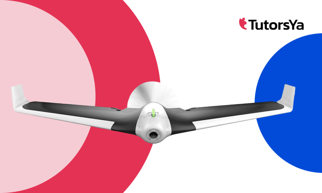 Titulación SEPE: curso práctico Parrot Disco PRO-AG 0-5