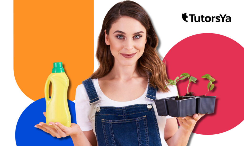 Curso gratuito en Vigo: elaboración de productos de limpieza naturales