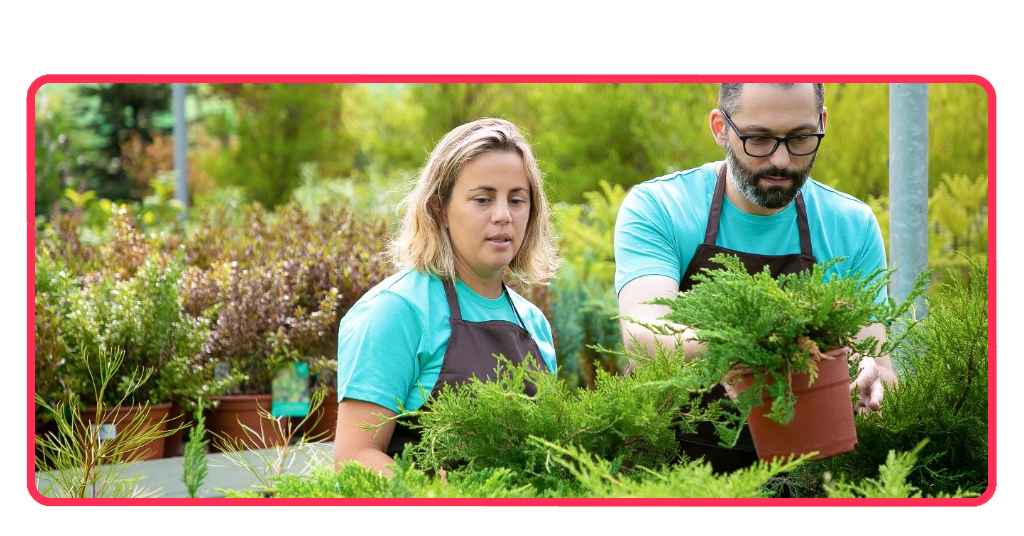 Titulación SEPE: curso de servicios básicos de jardinería con plazas 2 Curso de servicios básicos de jardinería