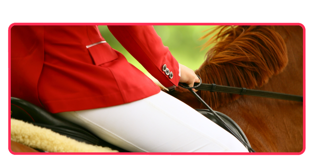 actividades ecuestres