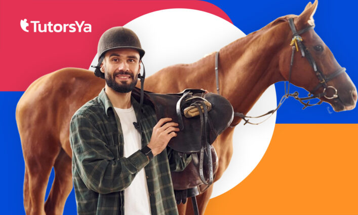 Formación Profesional: curso gratis en actividades ecuestres 