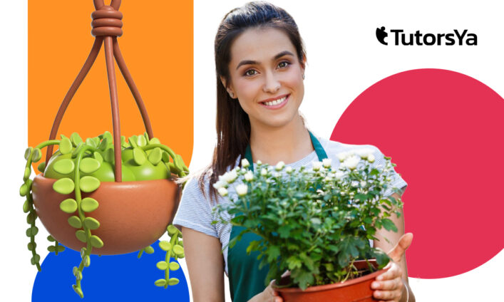 Curso de jardinería y viveros para trabajar con plantas