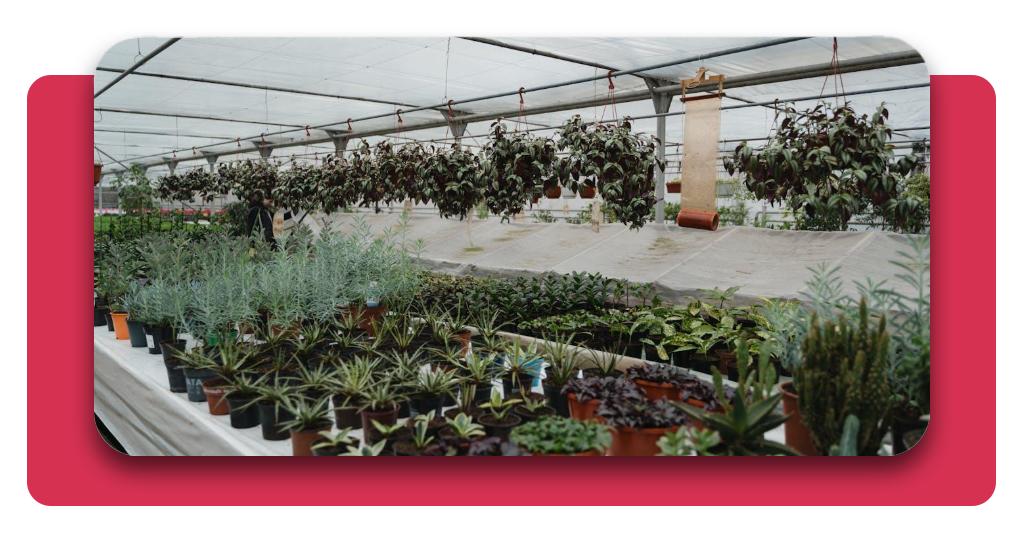 curso de jardinería y viveros