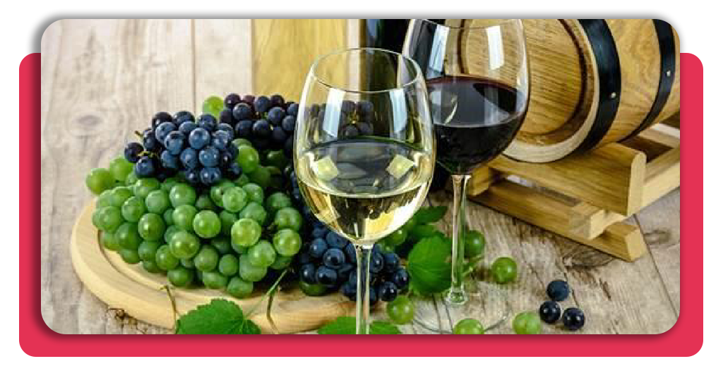 aceites de oliva y vinos