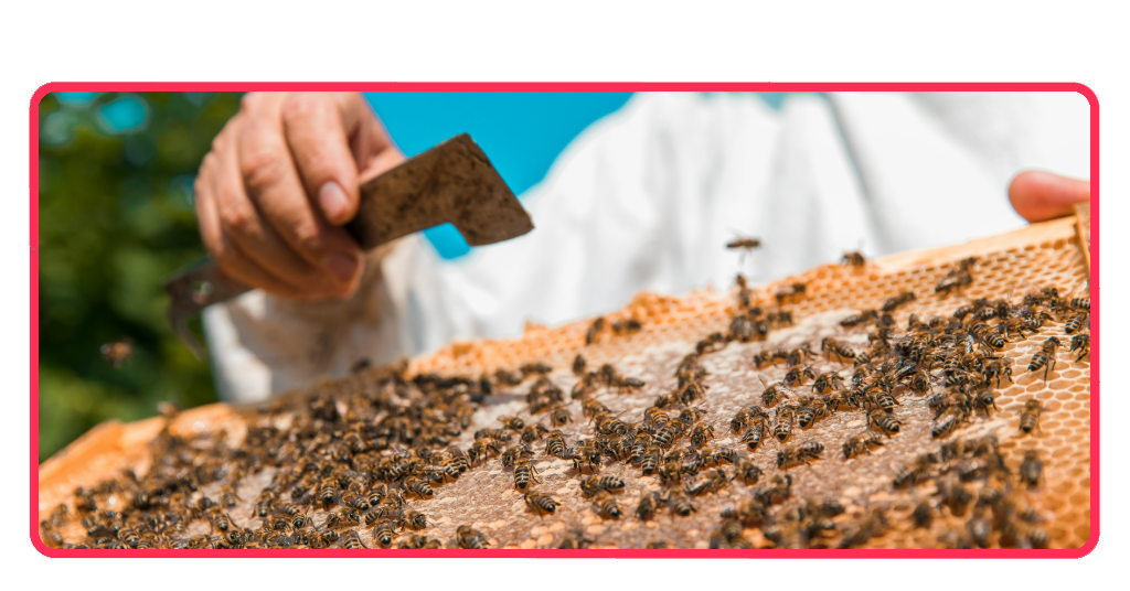 Curso de producción agroecológica con enfoque sostenible 2 producción agroecológica
