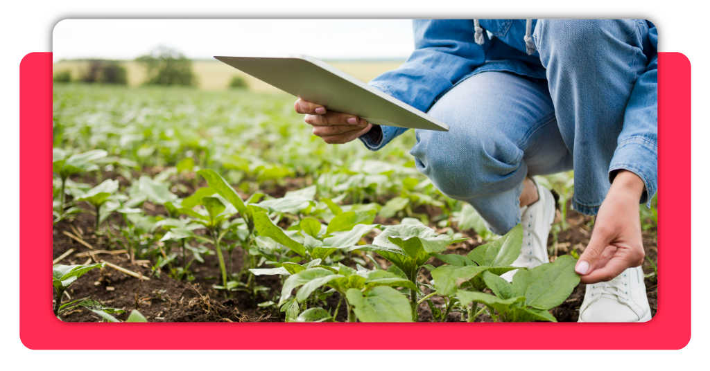 Sostenibilidad agrícola: formación SEPE gratis online 2 sostenibilidad agrícola