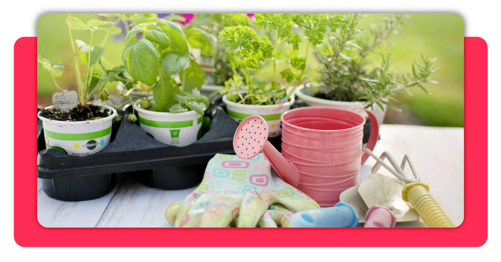 Curso de jardinería gratis: últimas plazas con certificado SEPE 2 IMG 4987 01 1