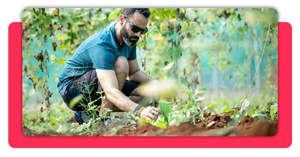 Aprende jardinería y actividades en viveros con este curso gratuito 4 Si buscas un curso que te dé una certificación profesional en manejo de jardines y viveros, esta es una opción que no puedes dejar pasar.