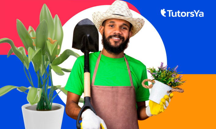 Aprende jardinería y actividades en viveros con este curso gratuito