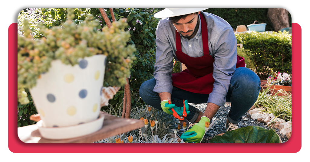 Especializarte en jardinería abre puertas laborales en paisajismo, viveros y gestión municipal, además de permitir emprender con éxito.