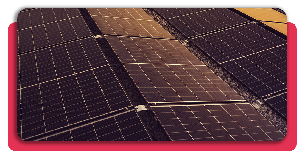 Se observan muchos paneles solares colocados en una posición ideal para absorber los rayos del sol. Esta es una energía limpia y libre de riesgos