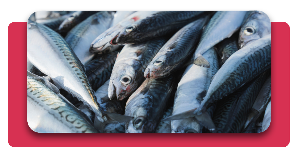 Trabaja como pescadero: curso gratis con certificado oficial 3 La correcta conservación y manipulación del pescado constituye una competencia esencial que los participantes desarrollan durante la formación en pescadería
