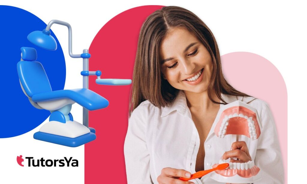 Sal del paro: curso auxiliar de odontología gratis ¡Últimas Plazas!
