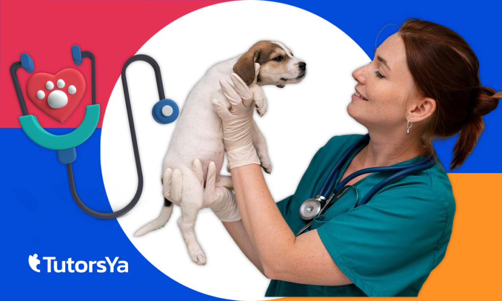 Curso de auxiliar de veterinaria gratis: plazas disponibles hoy