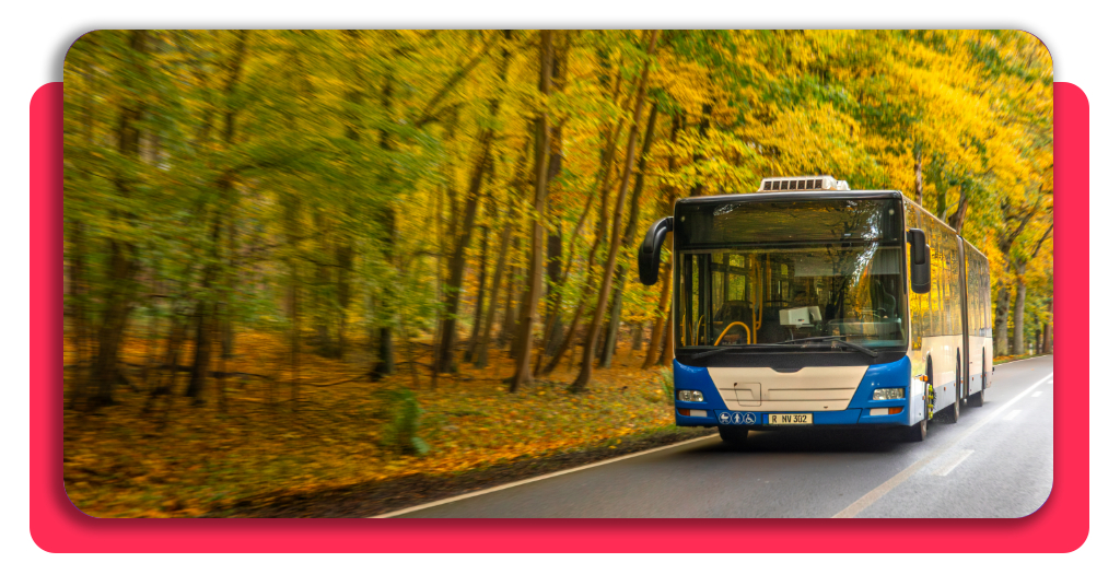 Mujeres conducen autobuses: curso gratis para empezar 7 Obtener la licencia de autobús y el CAP de viajeros es más sencillo de lo que parece. Para conducir autobuses profesionales necesitas ambas, sin excepción