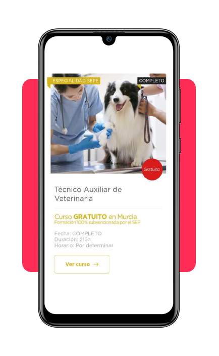 Trabaja rodeado de animales: curso de auxiliar de veterinaria gratis 5 IMG 7702 04