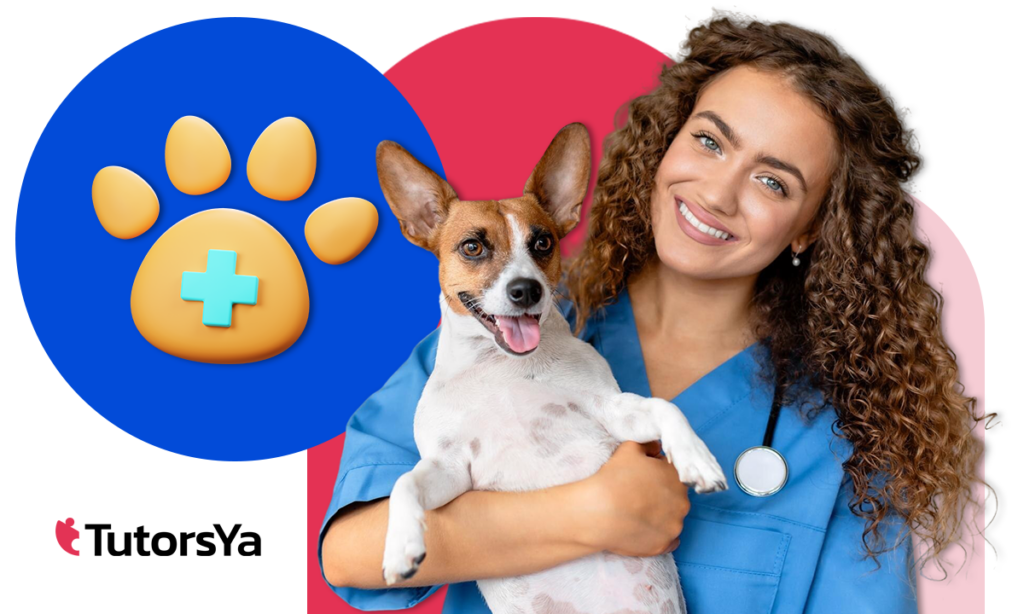Trabaja rodeado de animales: curso de auxiliar de veterinaria gratis