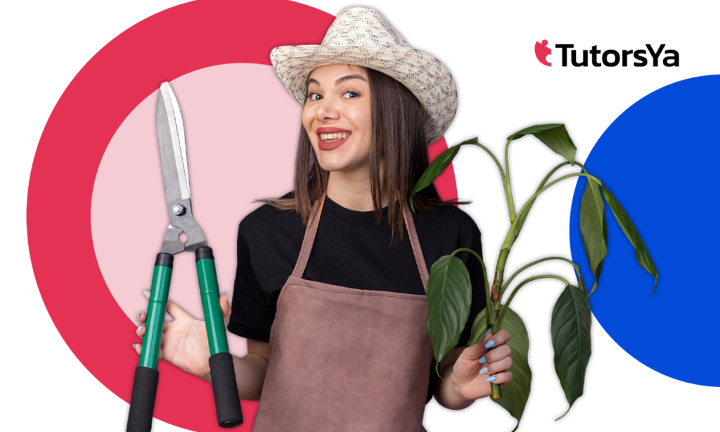 20 € la hora y trabajando al aire libre: aprende jardinería GRATIS